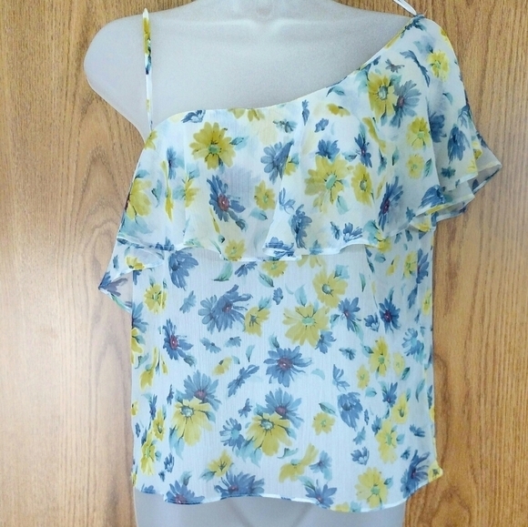 Zara Trafaluc Sheer One Shoulder Floral Top🌼 - Picture 2 of 7